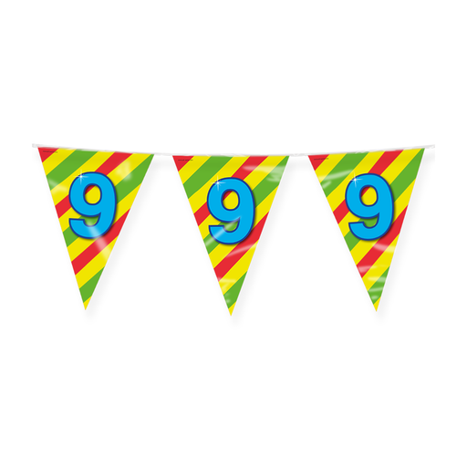 Happy Party Vlaggenlijn 9 Jaar Multicolor 10 m