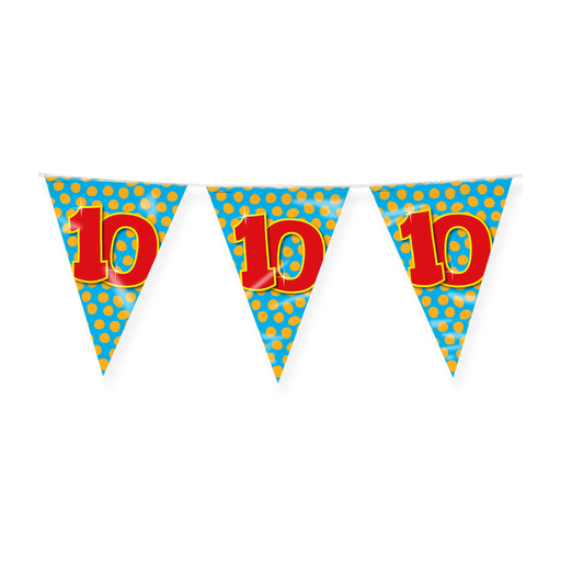 Vlaggenlijn 10 Jaar Multicolor 10 m