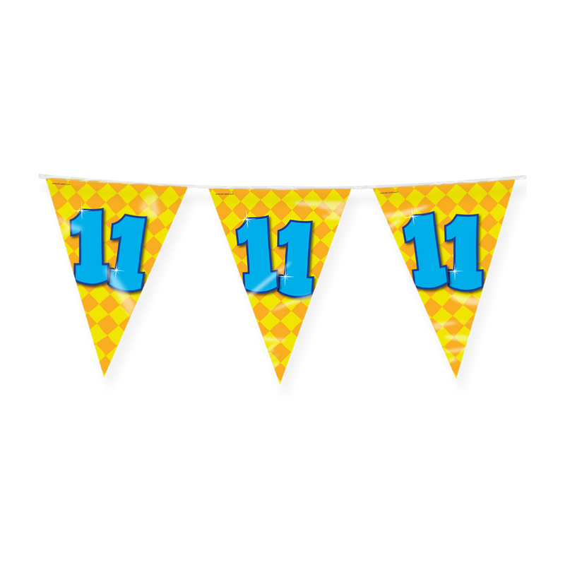 Happy Party Vlaggenlijn 11 Jaar Multicolor 10 m