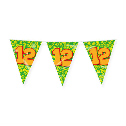 Happy Party Vlaggenlijn 12 Jaar Multicolor 10 m
