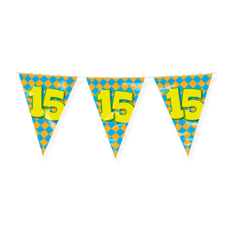Happy Party Vlaggenlijn 15 Jaar Multicolor 10 m