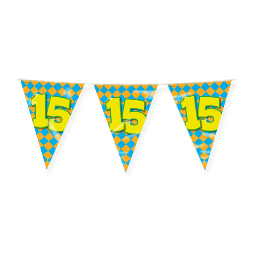 Happy Party Vlaggenlijn 15 Jaar Multicolor 10 m