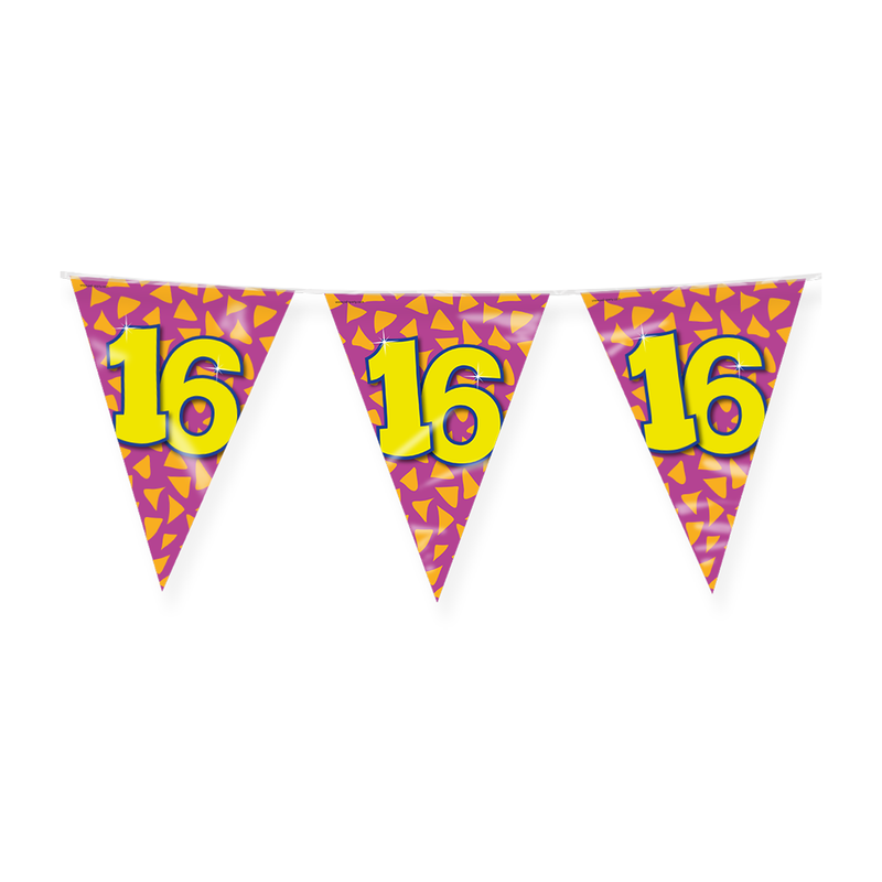 Happy Party Vlaggenlijn 16 Jaar Multicolor 10 m