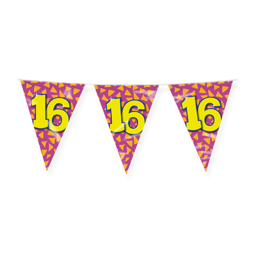 Happy Party Vlaggenlijn 16 Jaar Multicolor 10 m