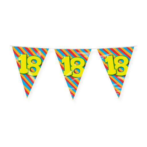 Happy Party Vlaggenlijn 18 Jaar Multicolor 10 m