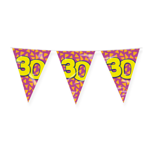 Happy Party Vlaggenlijn 30 Jaar Multicolor 10 m