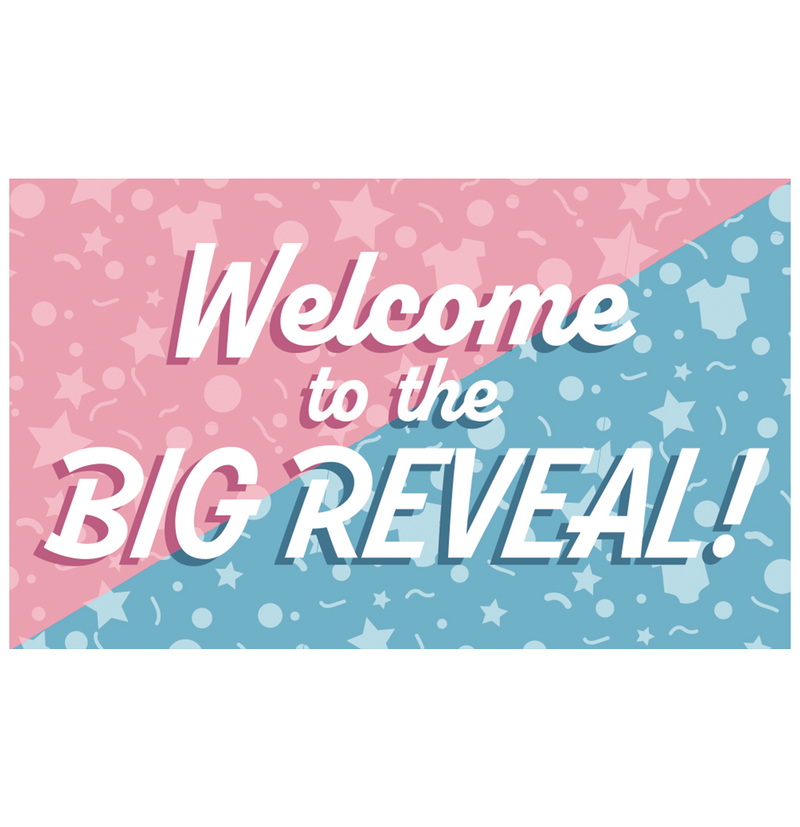 XXL Gevelvlag Gender Reveal 150 x 90 cm