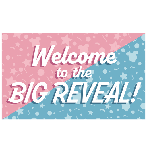 XXL Gevelvlag Gender Reveal 150 x 90 cm