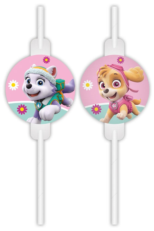 Rietjes PAW Patrol Skye & Everest – 4 Stuks
