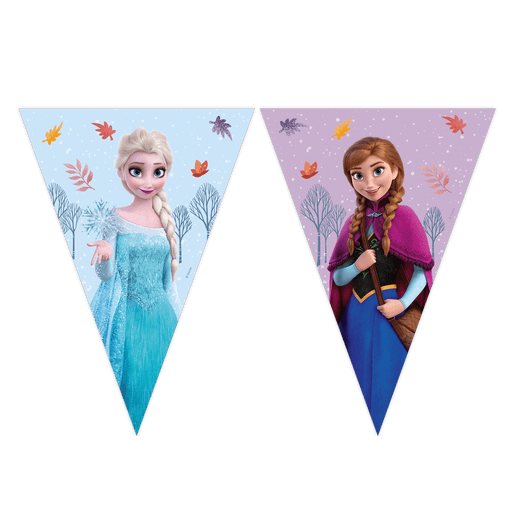 Vlaggenlijn Frozen – 9 Vlaggen