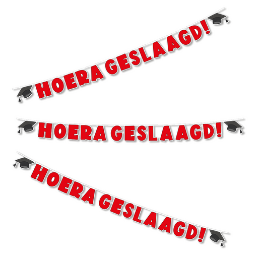 Letterslinger Hoera Geslaagd 300 cm