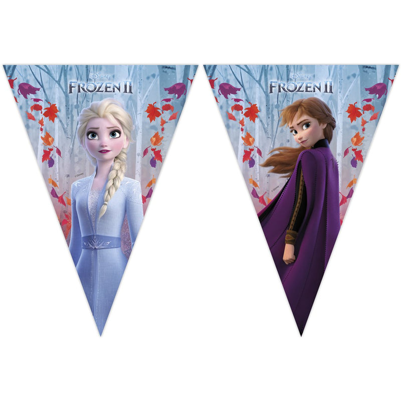 Disney Frozen 2 Vlaggenlijn