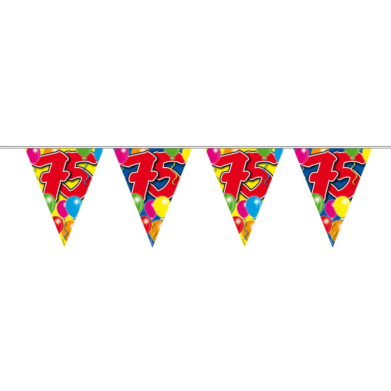 Vlaggenlijn 75 Jaar Multicolor – 1 Stuk