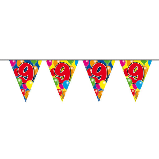 Vlaggenlijn 9 Jaar Multicolor – 1 Stuk