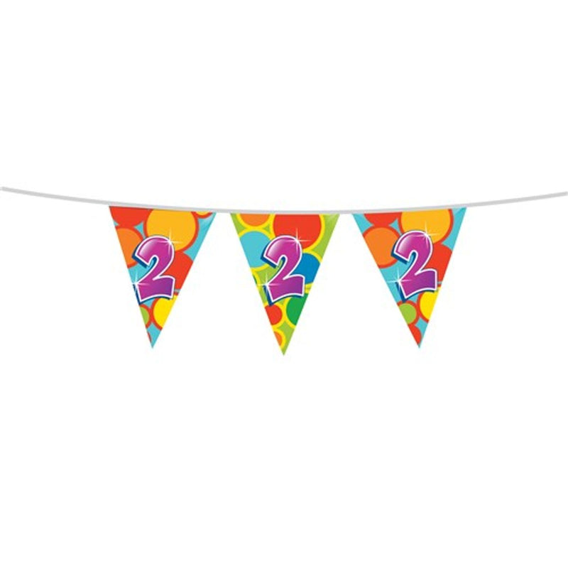 Vlaggenlijn 2 Jaar Multicolor