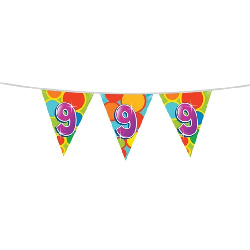 Vlaggenlijn 9 Jaar Multicolor