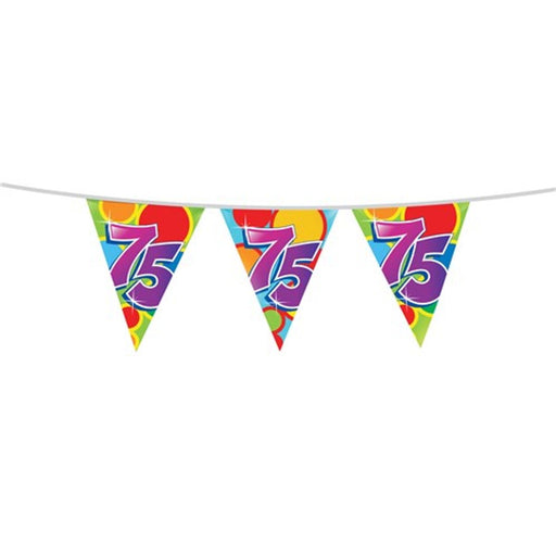Vlaggenlijn 75 Jaar Multicolor